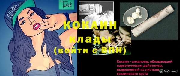 хмурый Пересвет