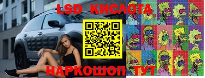 молекула духа Берёзовский
