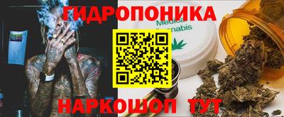 крисы Беслан