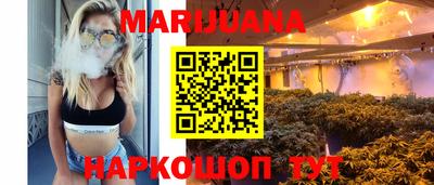 крисы Беслан