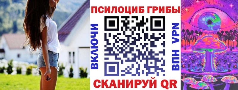 Псилоцибиновые грибы мухоморы  купить наркоту  Волгодонск 