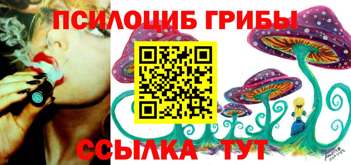 Галлюциногенные грибы мицелий  Волгодонск 