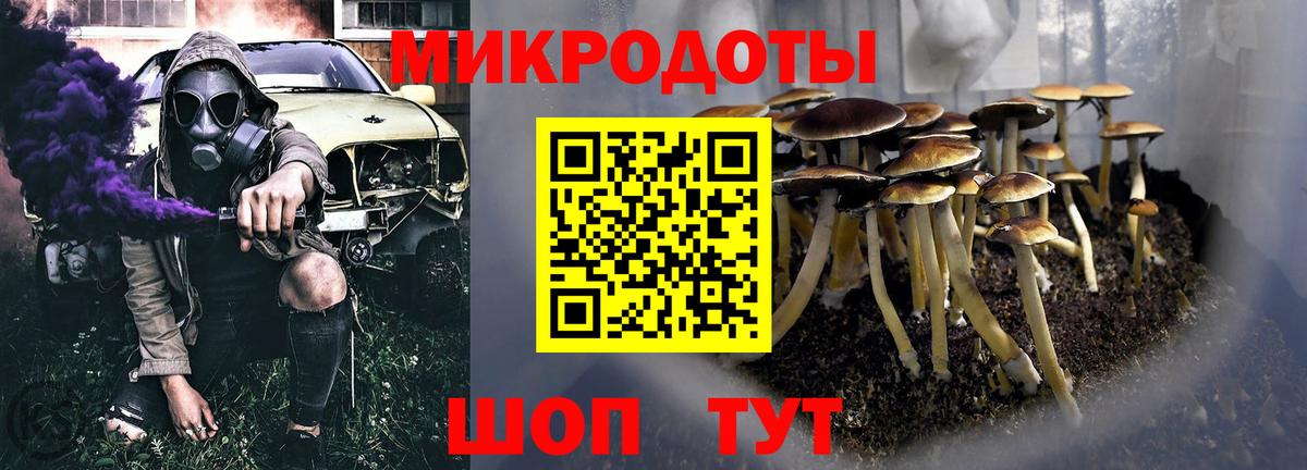 Псилоцибиновые грибы GOLDEN TEACHER Волгодонск